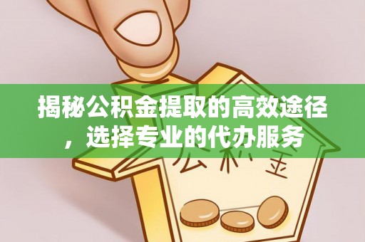 台北揭秘公积金提取的高效途径，选择专业的代办服务